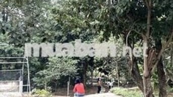 BÁN ĐẤT TẶNG NHÀ CẤP 4 TÊN PHONG BA VÌ