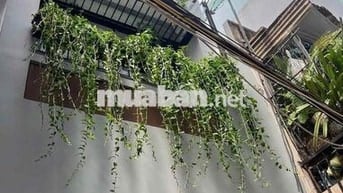 Chính Chủ Cho Thuê Tôn Thất Tùng, Quận 1 Diện tích: 4x10m Kết cấu: trệ