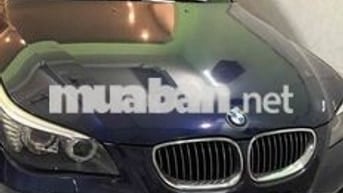 BMW 520i 2008Xanh Đức