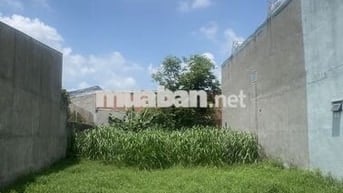 Bán đất nông nghiệp, cho phép lên thổ cư.