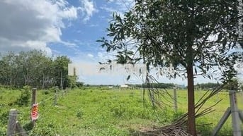 Bán gấp xả lỗ miếng  đất Tây Ninh 545m2 trong đó có 50m2 thổ cư, Đẹp