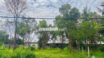 Chính Chủ bán gấp lô đất mặt tiền đường Trần Văn Chầm
