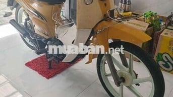 Kawasaki Max