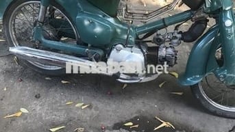 Honda Cub 2024 Xanh ngọc