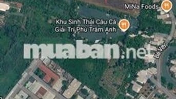 Bán 4611 m2 đất nông nghiệp gần Bệnh viện Đa khoa Đồng Tháp