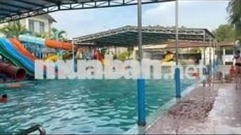 Chính Chủ Cho Thuê Hồ Bơi 1100m Ful NT GPKD 2pn 3wc Giá 6tr Free 2th