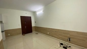 Cho thuê chung cư Topaz Garden-04 Trịnh Đình Thảo, Tân Phú 2PN giá 9tr