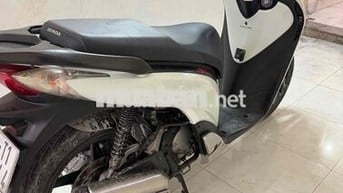 Honda SH y 2010 trắng