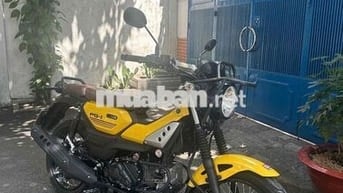 Yamaha PG-1 2024 Vàng 3.500 km BSTP chính chủ