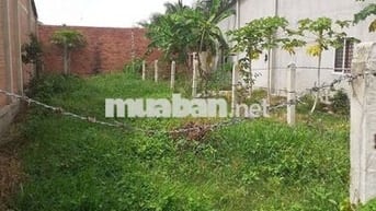 Nuôi con học bán gấp 139m² giá 450triệu đường Gia Huỳnh phường Gia Lộc