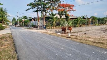 5x43 đường ô tô. Có thổ. Dân cư đông. 3xx tr 