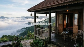 🔥 Chỉ 623 Triệu/1000m² Đất Đồi Đẹp La Ngà - Không Gian Xanh Nghỉ Dưỡng