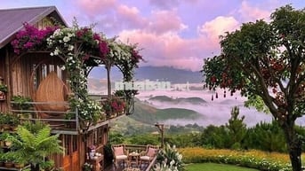 🌿 CHỈ 900 Triệu có ngay 1000m² Đất Đồi Đẹp La Ngà Gần Hồ Trị An, QL20