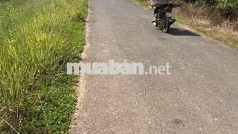 Đất chính chủ, Hoà Nam, Di Linh hơn 4.000m2