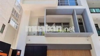 TÌM ĐÂU RA NỮA - 47A Thăng Long, P.4, Tân Bình - Sàn Suốt - DTSD 400m2
