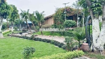 Mặt Bằng Nhà Vườn View Sông Hiếm Có–600m²–Làm Cafe, Nhà Hàng–18 Triệu