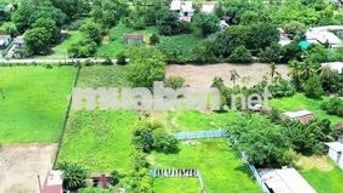 ngộp bán đất 280m²,giá 600triệu đường 1/Nguyễn Văn Khạ xã Tân An Hội