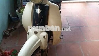 Honda Cub 50cc Trắng