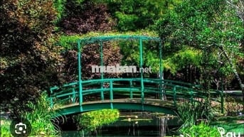 đất trồng cây làm vườn xây được 25m ở