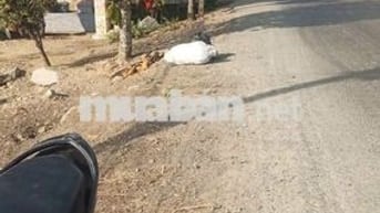ĐẤT GIÁ RẺ THỦ TỤC NHANH TRONG NGÀY