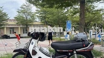 Honda Dream Nâu, Trắng Zin