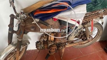 Honda 67 Nhiều màu