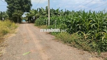 Bán nhanh 1000m2 chỉ 590tr đường ô tô gần trung tâm xã Suối Nho