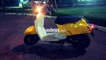 Cree 50cc Vàng, Trắng