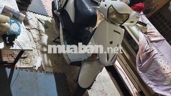 Honda Lead SRC 2008 Trắng Hà Nội