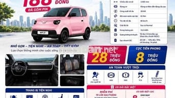 Xe điện đô thị VinFast VF 2 4 chỗ Hồng