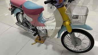 Dealim Cub Hàn Quốc Nhiều màu