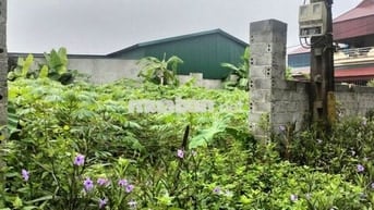 Cần bán 500m2 đất ở nông thôn, mặt tiền đường Cầu Ngói, thôn Bằng Tạ