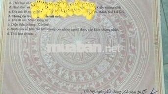 Bán Căn Hộ Mini Mỹ Đình Mới Tinh 2025, Đã Có Sổ Từng Căn. Cực Rẻ