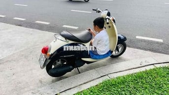 Honda Scoopy Xanh đậm Nhật Bản