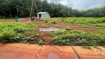 Ngộp bán nhanh 5x58m2 sẵn 50 thổ cư cách Ql13 chỉ 600m