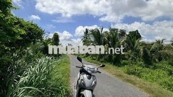 Chủ Gởi Lô Đất Phước Đông, Gò Dầu, Tây Ninh