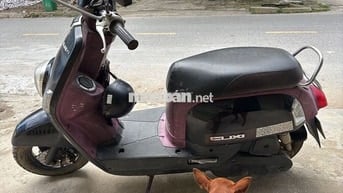 Yamaha Cuxi Nữ màu Tím 2010 chạy 22044km