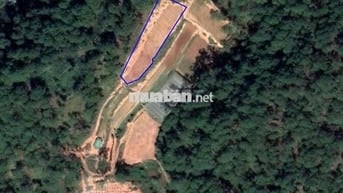 Đất Đà lạt Phường Xuân Trường view săn mây cực đỉnh