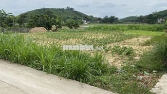 Chủ nhà bán gấp 1200,5m2 full thổ cư Triệu Sơn Thanh Hóa giảm giá sâu 