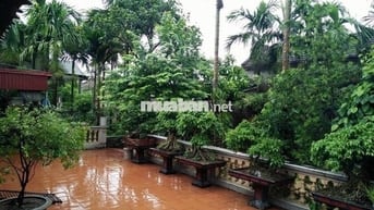 CHO THUÊ NHÀ MT HỌ LÊ - P PHÚ THẠNH 4 x 20 M Đúc 1 lầu : 2 PN, 2 WC 