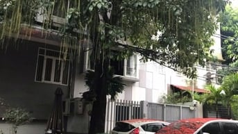 Bán gấp nhà HXH Sư Vạn Hạnh- P.12 -Q.10 5m x 17m 4 Tầng giá 19,9 tỷ TL