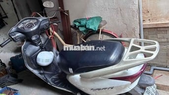 Honda Lead Trắng