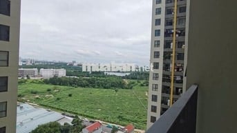cho thuê Căn hộ 2PN Giá 5.5tr 52m2 gần Trường ULE