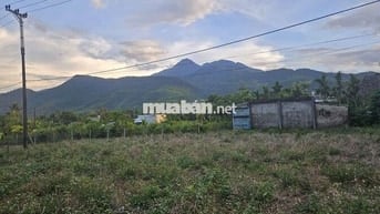 Cần bán lô đất nhà vườn thôn nam yên 530m2, góc ngã 3