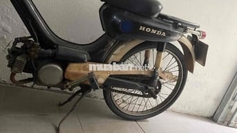 xe honda pc50