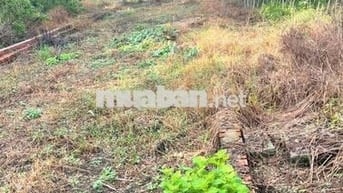 CHỈ 1.9 TỶ – 110M² FULL THỔ CƯ – GẦN BỆNH VIỆN XUYÊN Á – CỦ CHI 