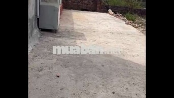 bán đất kiệt 4m ô tô Bình Kỳ. hòa quý. giá 2 tỷ 350. có tl. nắm chủ 