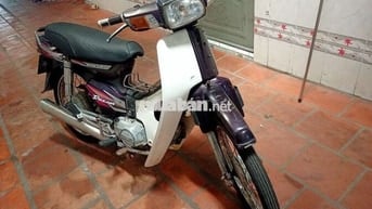 Honda Dream Tím Trắng Xe số
