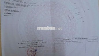 Đất cây lâu năm gần sân bay xây nhà vườn