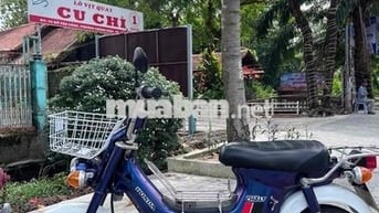 Honda Chaly CF50 Xanh, Trắng
